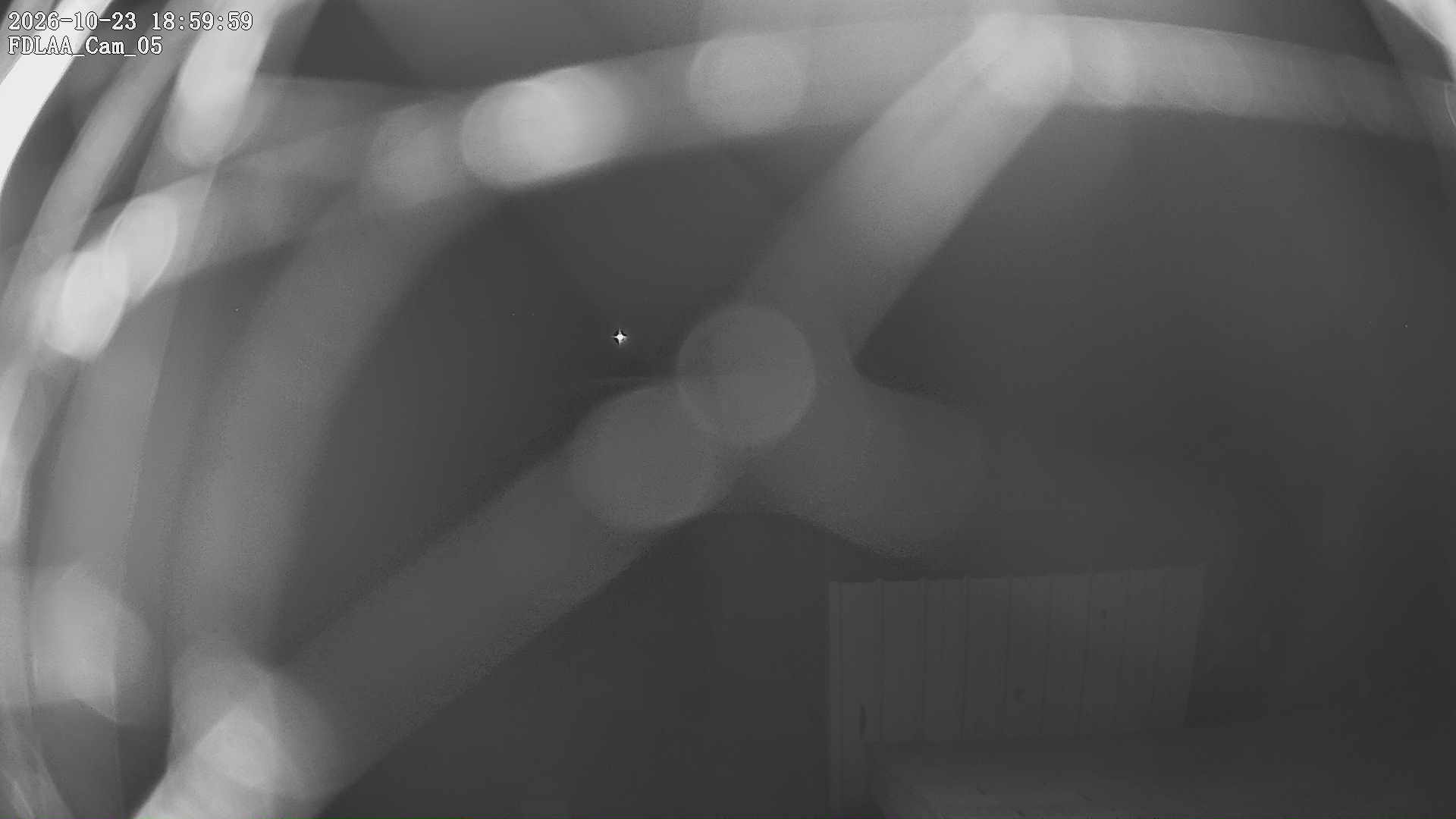 Parking Camera