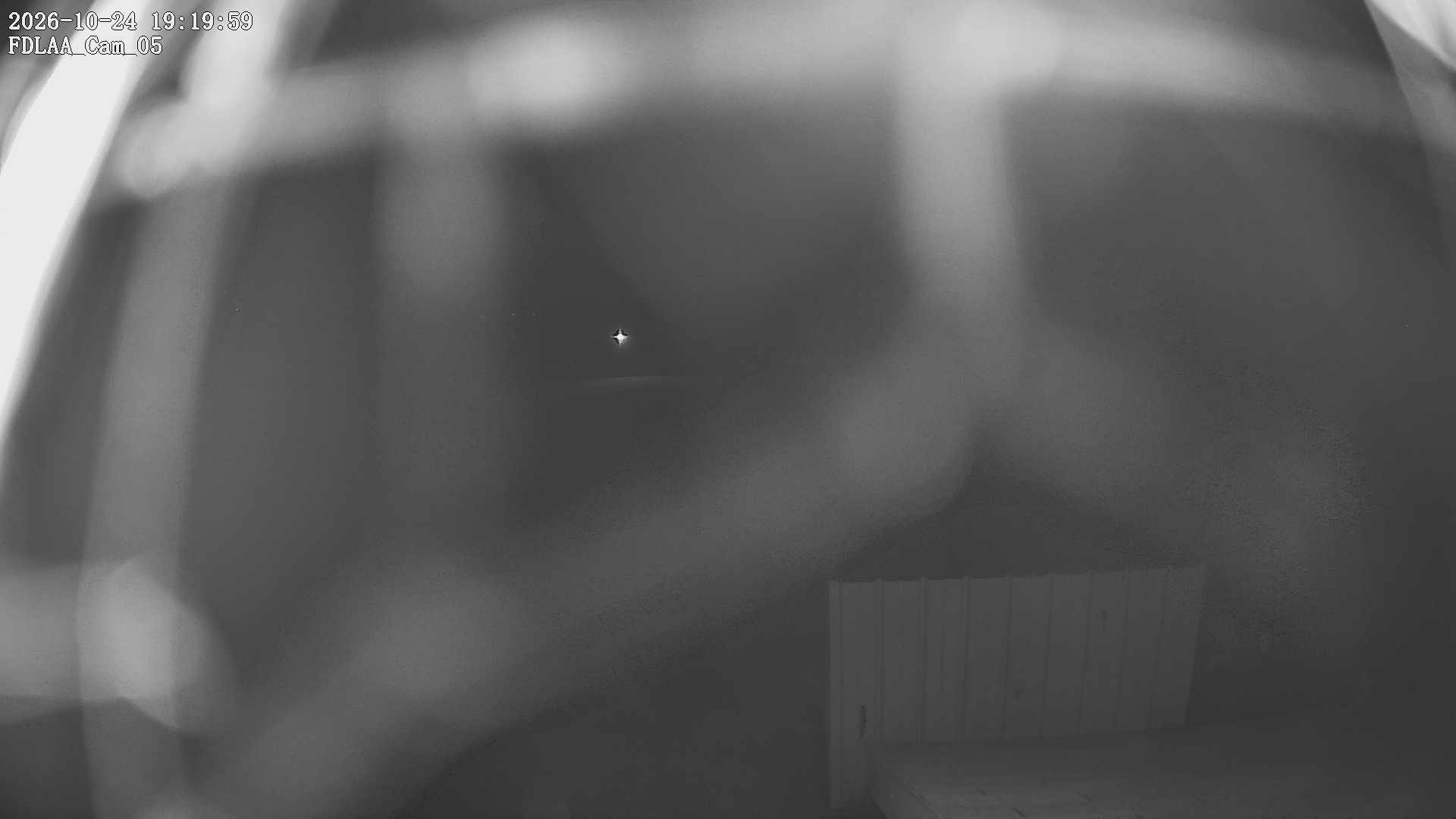 Parking Camera