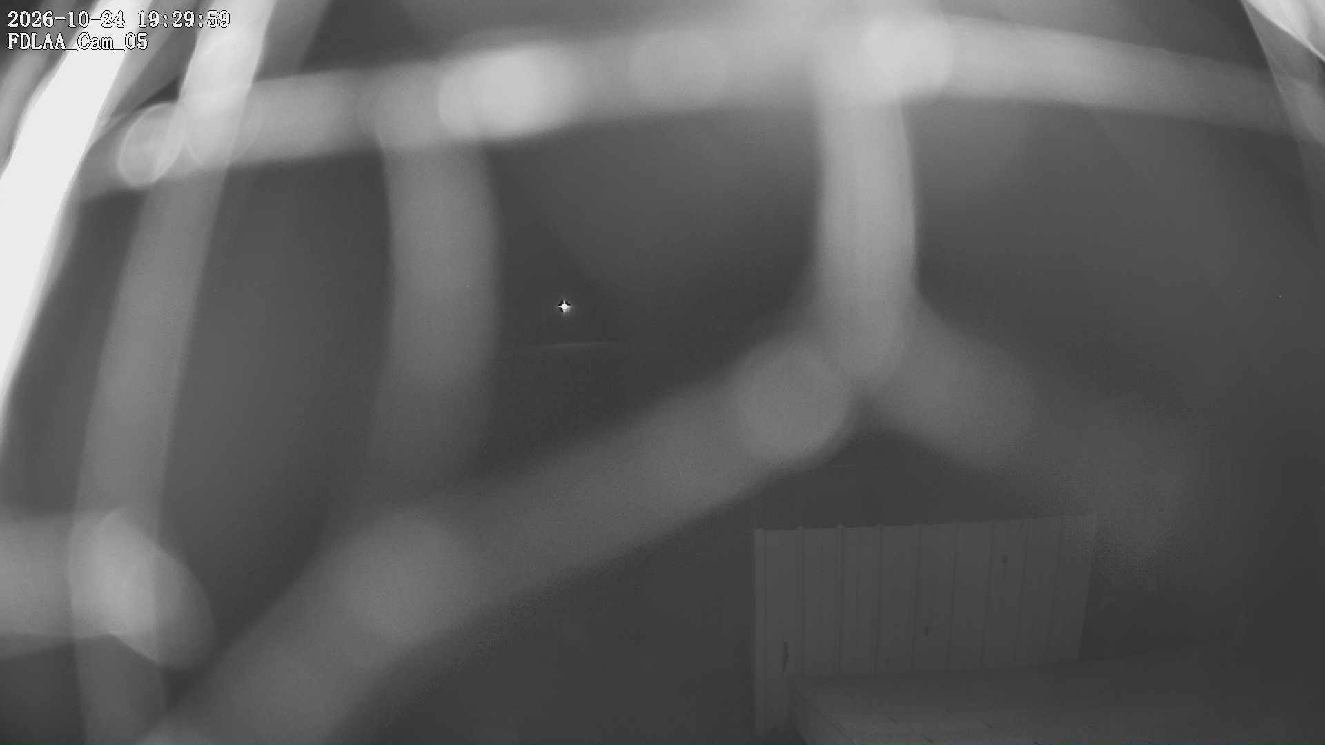 Parking Camera