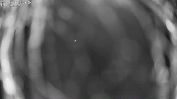 Parking Camera