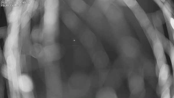 Parking Camera