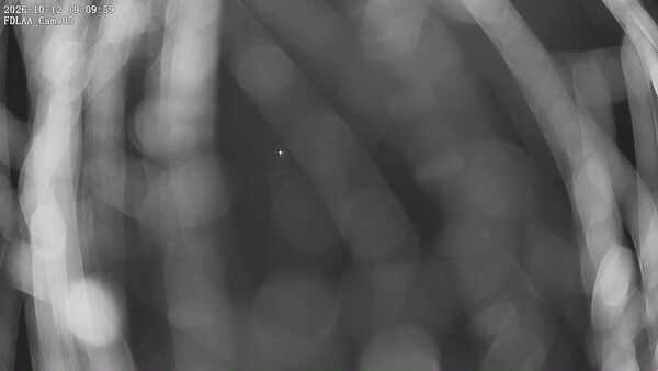 Parking Camera
