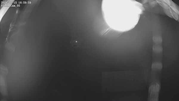 Parking Camera