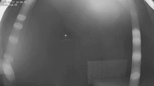 Parking Camera
