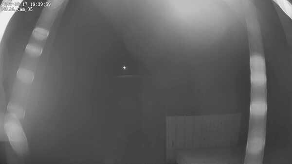 Parking Camera