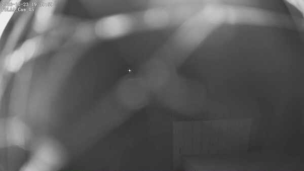 Parking Camera