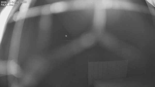 Parking Camera