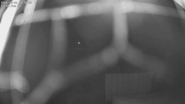 Parking Camera