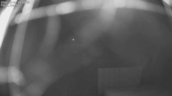 Parking Camera