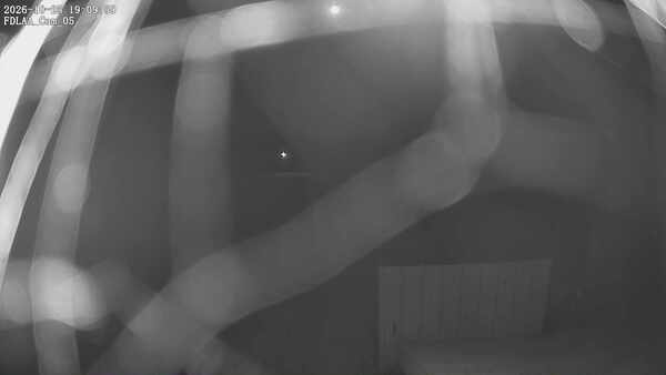 Parking Camera
