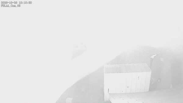 Parking Camera