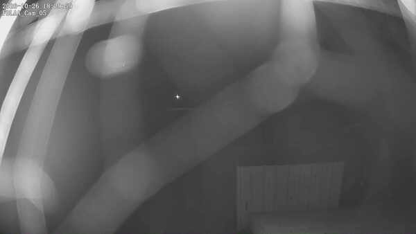 Parking Camera
