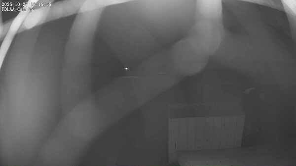 Parking Camera