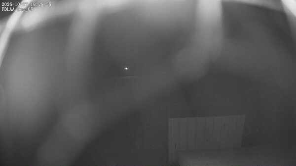 Parking Camera