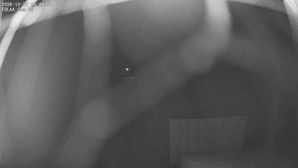 Parking Camera