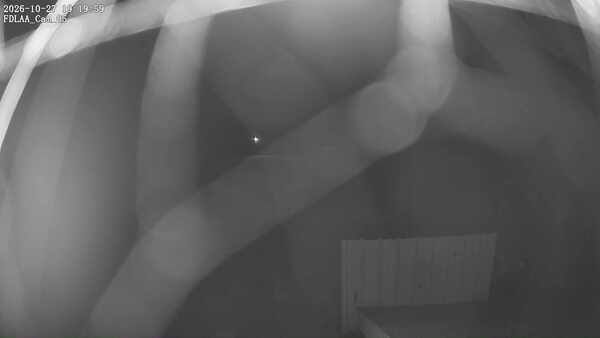 Parking Camera