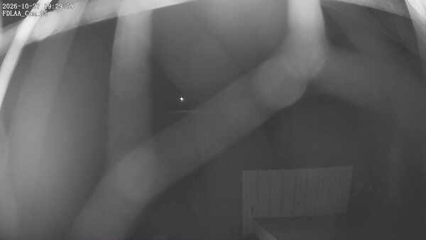 Parking Camera