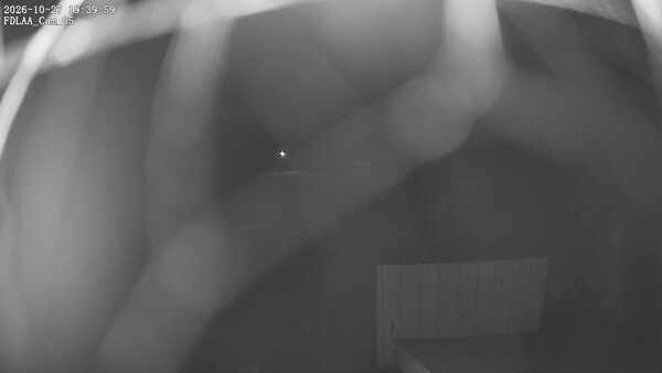 Parking Camera