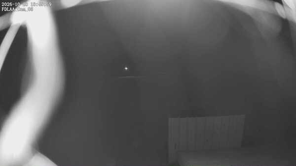 Parking Camera