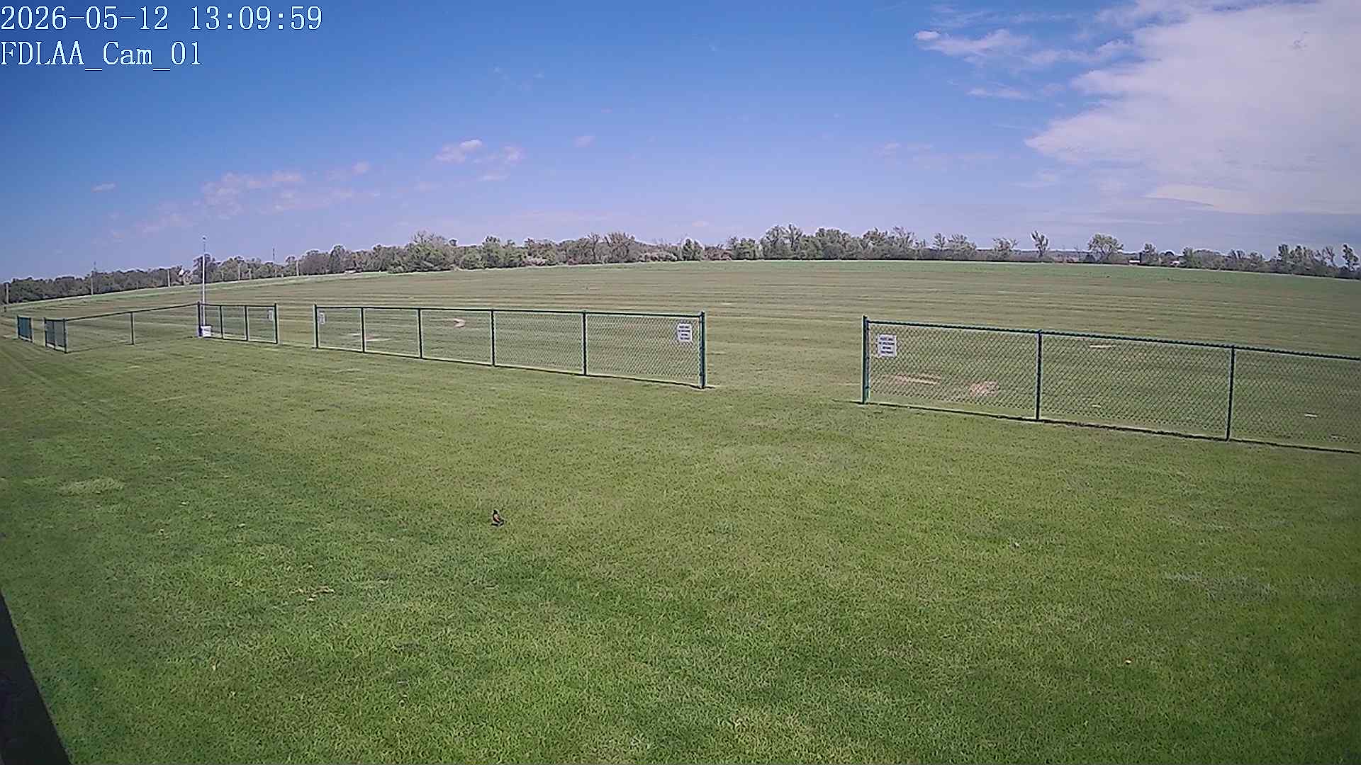 North-East Camera